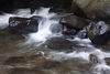 Waterfalls and Wet Rocks : Photos of Waterfalls and water running over rocks taken in places like the Isle of Arran off the coast of Scotland, the Wood of Cree in Scotland, and at the Iao Needle as well as along the Hana Highway on the beautiful island of Maui.